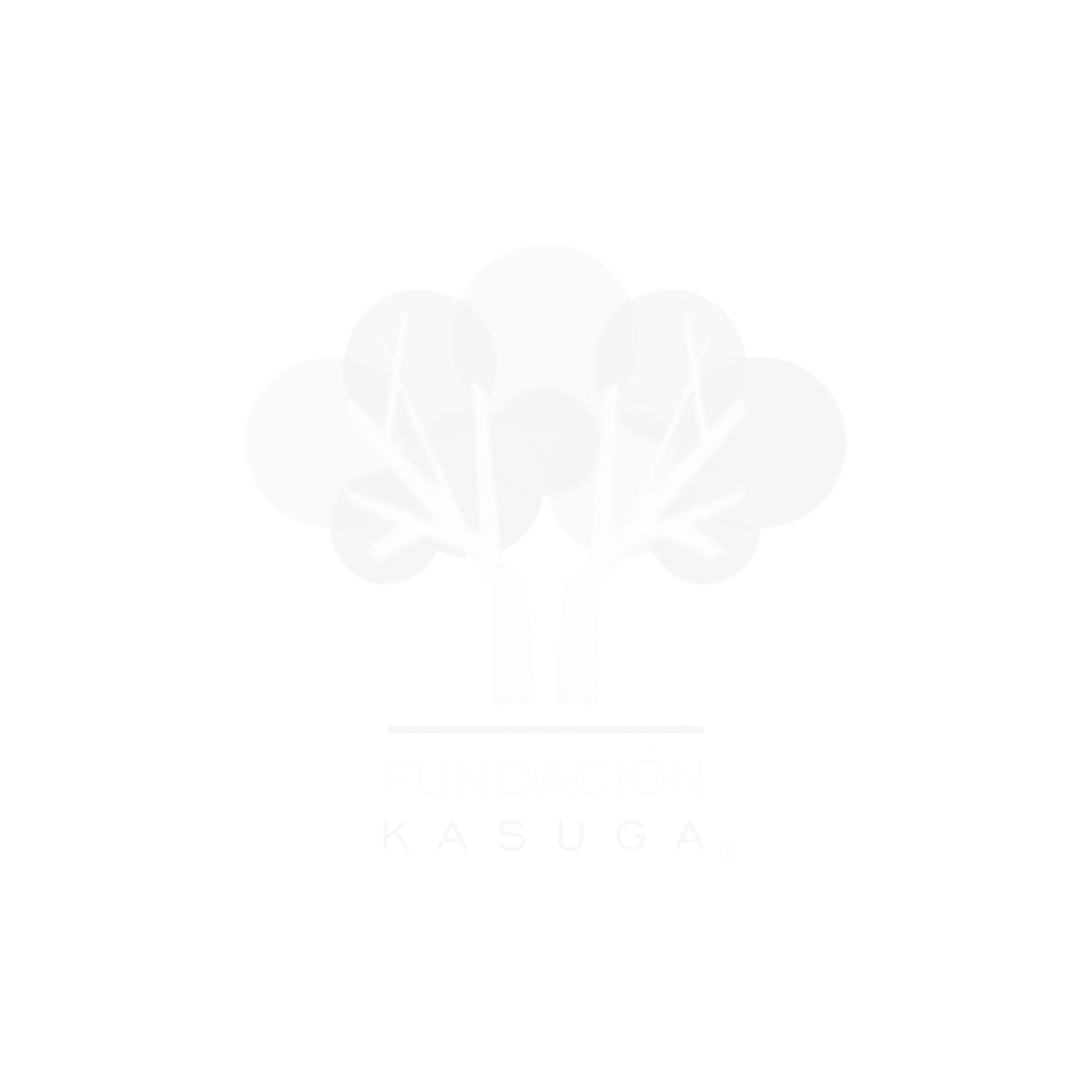fundacion-kasuga